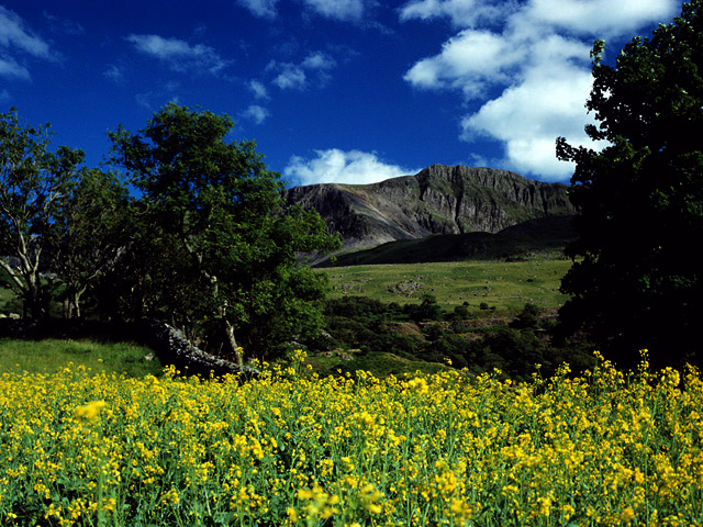 Cader Idris, Snowdonia National Park