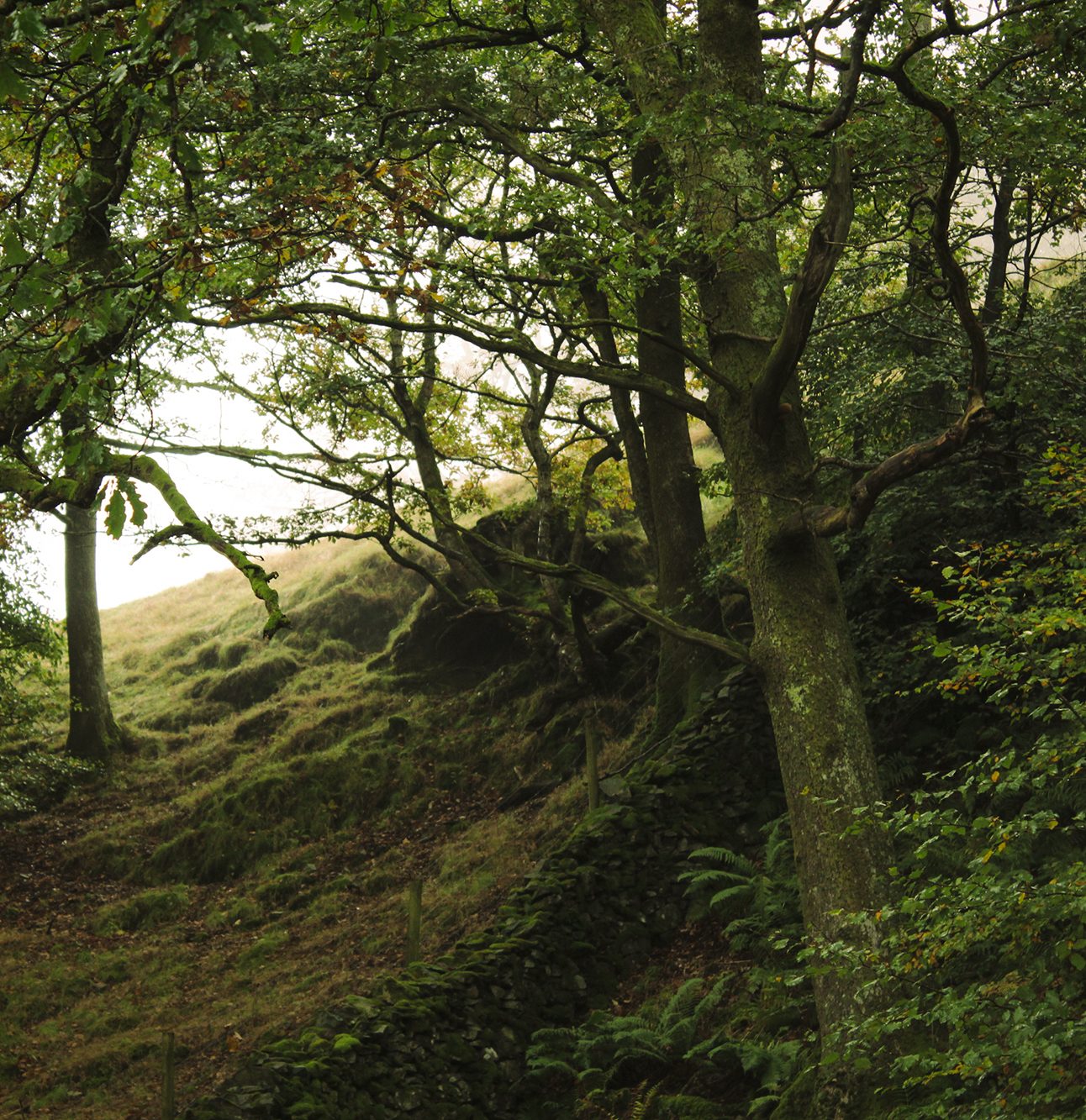 Grassmere in the Lake District