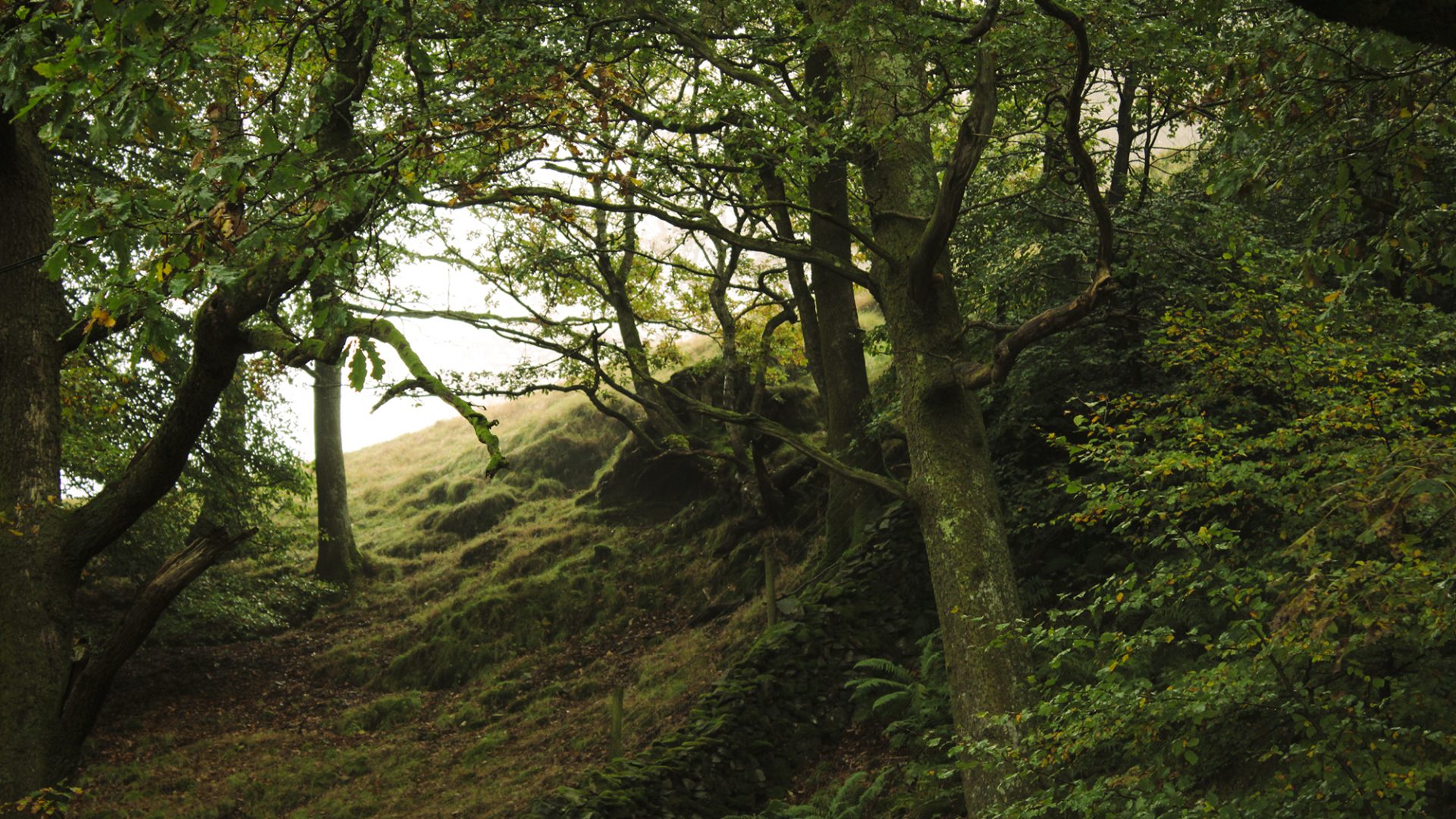 Grassmere in the Lake District