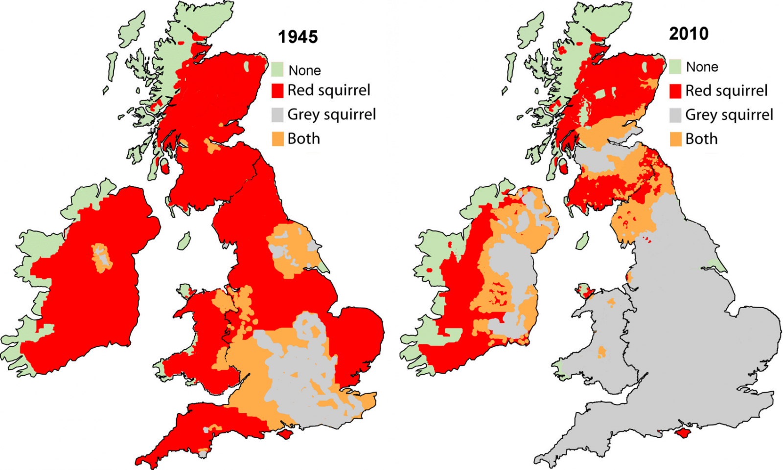 Now there are only about 15,000 red squirrels in England