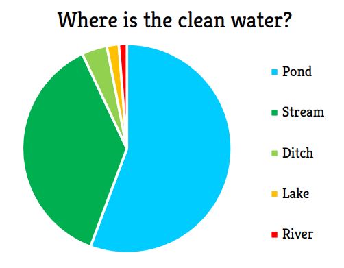New Forest clean water results