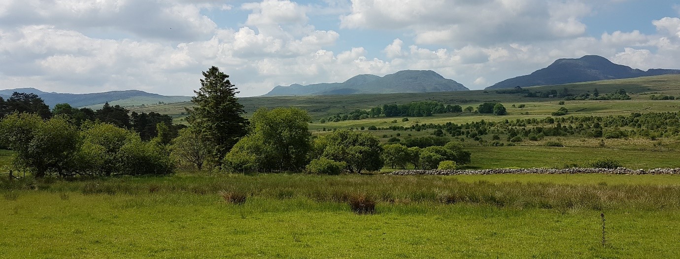A scene typical of Eden catchment with the Rhinogau mountains in the background 
