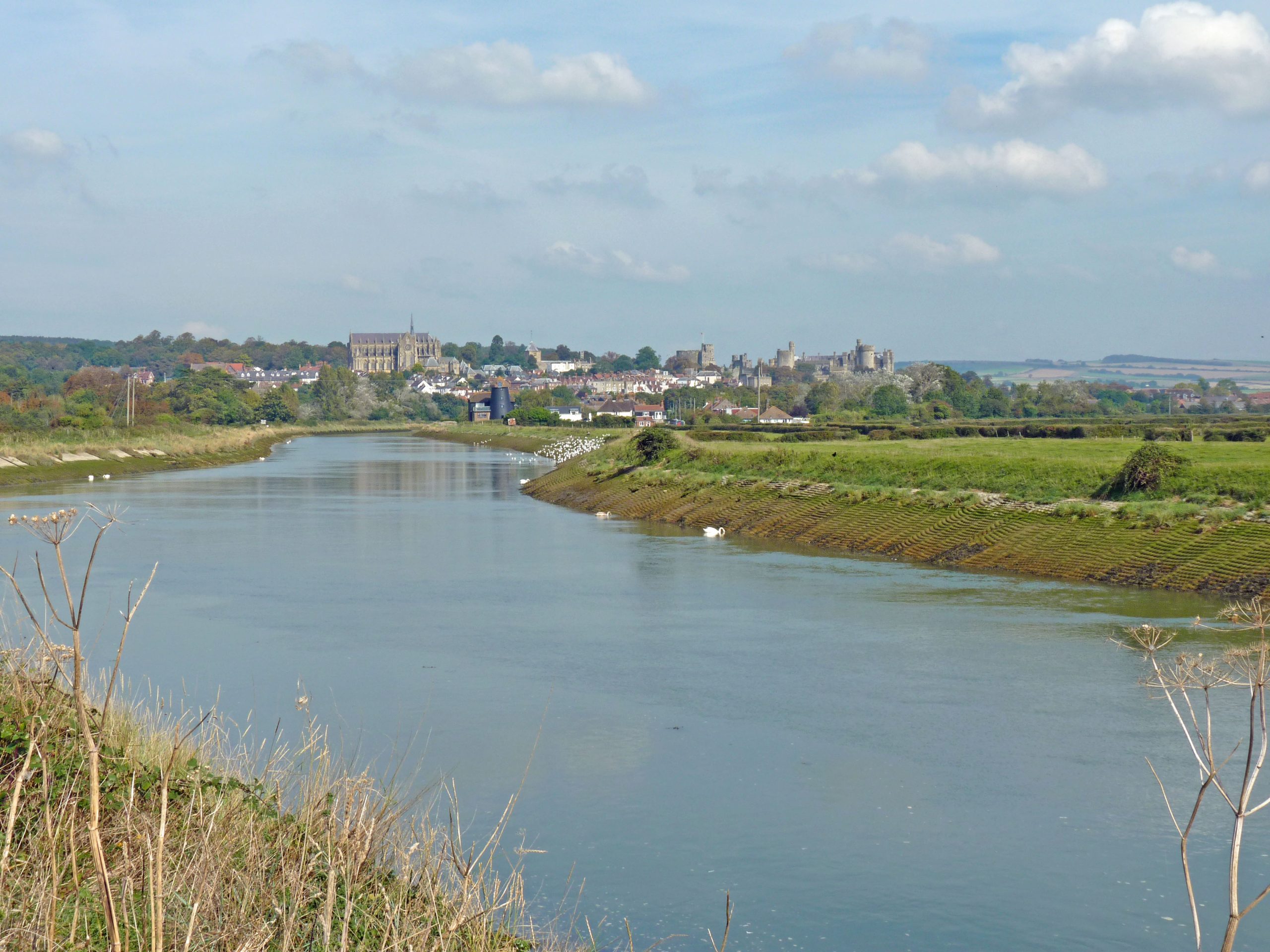 Help stop the Arundel Bypass - Campaign for National Parks