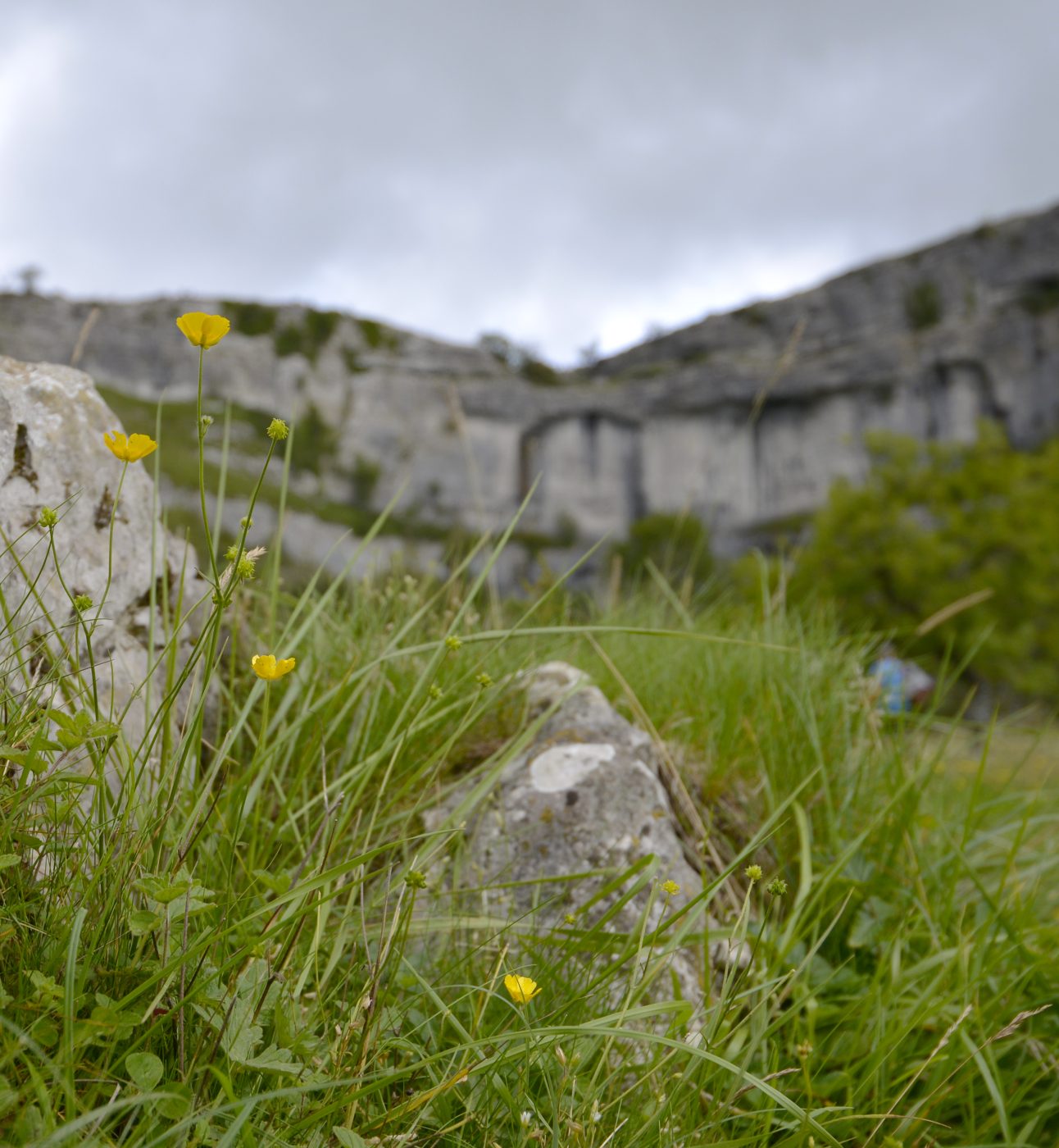 Malham Cove