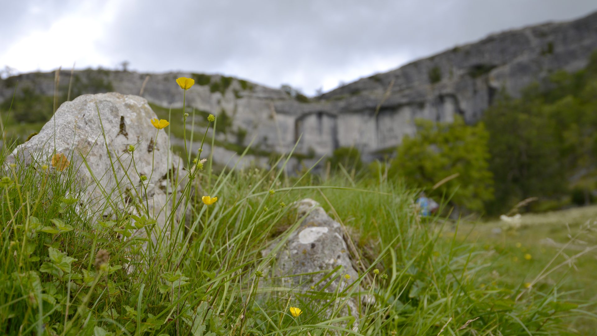 Malham Cove