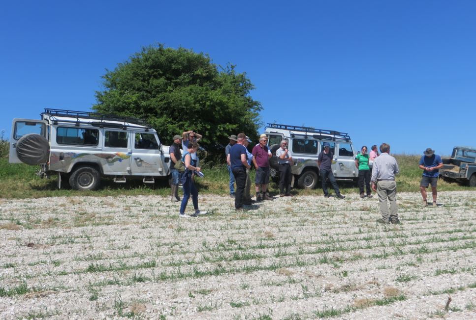South Downs farming group on grey patridge training