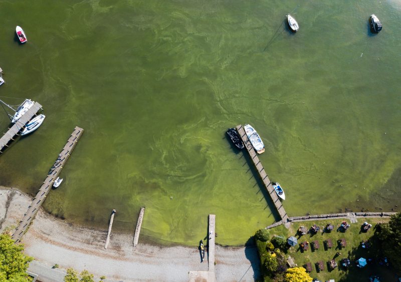 Lake Windermere pollution