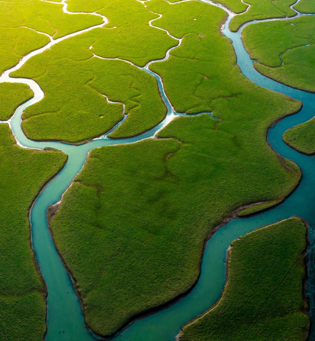 Cuckmere River