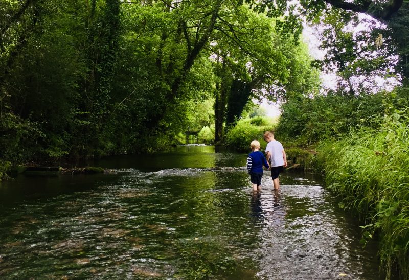 River Meon